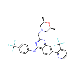 C[C@H]1CN(Cc2nc(Nc3ccc(C(F)(F)F)cc3)c3ccc(-c4ncccc4C(F)(F)F)cc3n2)C[C@@H](C)O1 ZINC000044352360