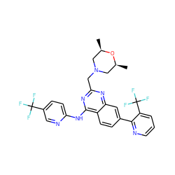 C[C@H]1CN(Cc2nc(Nc3ccc(C(F)(F)F)cn3)c3ccc(-c4ncccc4C(F)(F)F)cc3n2)C[C@@H](C)O1 ZINC000044359556