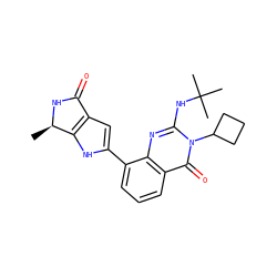 C[C@H]1NC(=O)c2cc(-c3cccc4c(=O)n(C5CCC5)c(NC(C)(C)C)nc34)[nH]c21 ZINC000222221514