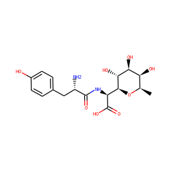 C[C@H]1O[C@@H]([C@H](NC(=O)[C@@H](N)Cc2ccc(O)cc2)C(=O)O)[C@H](O)[C@@H](O)[C@H]1O ZINC000006488790