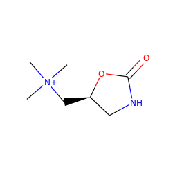 C[N+](C)(C)C[C@@H]1CNC(=O)O1 ZINC000096939007