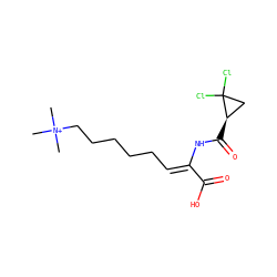 C[N+](C)(C)CCCCC/C=C(\NC(=O)[C@@H]1CC1(Cl)Cl)C(=O)O ZINC000026020539