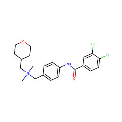 C[N+](C)(Cc1ccc(NC(=O)c2ccc(Cl)c(Cl)c2)cc1)CC1CCOCC1 ZINC000034804459