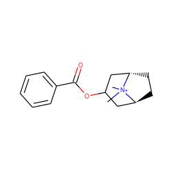 C[N+]1(C)[C@H]2CC[C@H]1CC(OC(=O)c1ccccc1)C2 ZINC000100566342