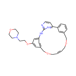 C1=CCOCc2cccc(c2)-c2ccnc(n2)Nc2cc(cc(OCCN3CCOCC3)c2)COC1 ZINC000254135285