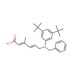 CC(/C=C/CN(Cc1ccccc1)c1cc(C(C)(C)C)cc(C(C)(C)C)c1)=C\C(=O)O ZINC000036242013