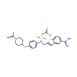 CC(=N)N1CCC(Oc2ccc(N(Cc3cc4cc(C(=N)N)ccc4s3)S(=O)(=O)CC(=O)O)cc2)CC1 ZINC000027645341