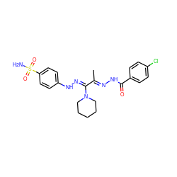 CC(=N\NC(=O)c1ccc(Cl)cc1)/C(=N/Nc1ccc(S(N)(=O)=O)cc1)N1CCCCC1 ZINC000103230479