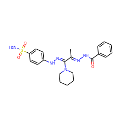 CC(=N\NC(=O)c1ccccc1)/C(=N/Nc1ccc(S(N)(=O)=O)cc1)N1CCCCC1 ZINC000103230478