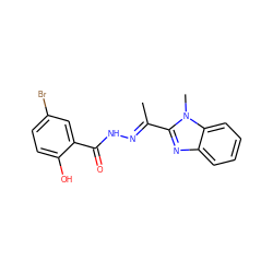 CC(=NNC(=O)c1cc(Br)ccc1O)c1nc2ccccc2n1C ZINC000254133682