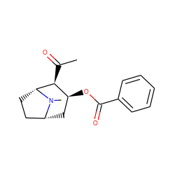 CC(=O)[C@H]1[C@@H](OC(=O)c2ccccc2)C[C@@H]2CC[C@H]1N2C ZINC000013834832