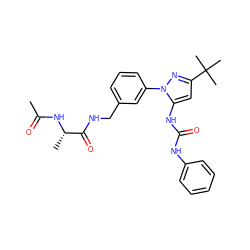 CC(=O)N[C@@H](C)C(=O)NCc1cccc(-n2nc(C(C)(C)C)cc2NC(=O)Nc2ccccc2)c1 ZINC000058519380