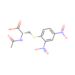 CC(=O)N[C@@H](CSc1ccc([N+](=O)[O-])cc1[N+](=O)[O-])C(=O)O ZINC000001532310