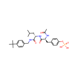 CC(=O)N[C@@H](Cc1ccc(OP(=O)(O)O)cc1)C(=O)N[C@@H](CC(C)C)C(=O)NCc1ccc(C(C)(C)C)cc1 ZINC000027755589