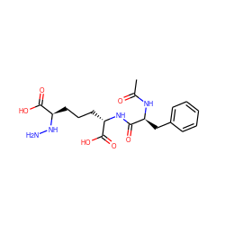 CC(=O)N[C@@H](Cc1ccccc1)C(=O)N[C@@H](CCC[C@@H](NN)C(=O)O)C(=O)O ZINC000028019410