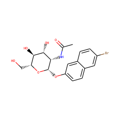 CC(=O)N[C@@H]1[C@H](Oc2ccc3cc(Br)ccc3c2)O[C@H](CO)[C@@H](O)[C@@H]1O ZINC000083260913
