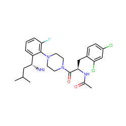 CC(=O)N[C@H](Cc1ccc(Cl)cc1Cl)C(=O)N1CCN(c2c(F)cccc2[C@H](N)CC(C)C)CC1 ZINC000028825749