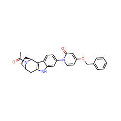 CC(=O)N1[C@H]2CC[C@H]1c1c([nH]c3cc(-n4ccc(OCc5ccccc5)cc4=O)ccc13)C2 ZINC000113223163