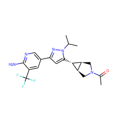 CC(=O)N1C[C@H]2[C@@H](C1)[C@@H]2c1cc(-c2cnc(N)c(C(F)(F)F)c2)nn1C(C)C ZINC000148072627