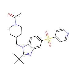 CC(=O)N1CCC(Cn2c(C(C)(C)C)nc3cc(S(=O)(=O)c4ccncc4)ccc32)CC1 ZINC000043199853