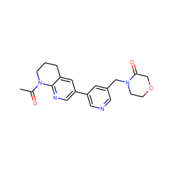 CC(=O)N1CCCc2cc(-c3cncc(CN4CCOCC4=O)c3)cnc21 ZINC001772617066