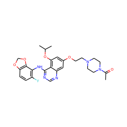 CC(=O)N1CCN(CCOc2cc(OC(C)C)c3c(Nc4c(F)ccc5c4OCO5)ncnc3c2)CC1 ZINC000014949466