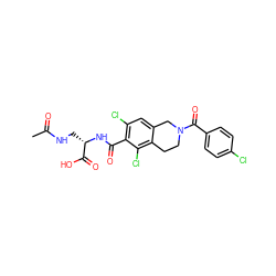 CC(=O)NC[C@H](NC(=O)c1c(Cl)cc2c(c1Cl)CCN(C(=O)c1ccc(Cl)cc1)C2)C(=O)O ZINC000058582001