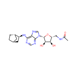 CC(=O)NC[C@H]1O[C@@H](n2cnc3c(N[C@H]4C[C@H]5CC[C@H]4C5)ncnc32)[C@H](O)[C@@H]1O ZINC000101493958