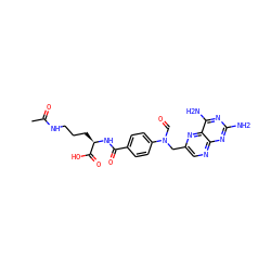CC(=O)NCCC[C@@H](NC(=O)c1ccc(N(C=O)Cc2cnc3nc(N)nc(N)c3n2)cc1)C(=O)O ZINC000028763428