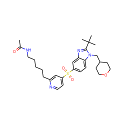 CC(=O)NCCCCCc1cc(S(=O)(=O)c2ccc3c(c2)nc(C(C)(C)C)n3CC2CCOCC2)ccn1 ZINC000073197875