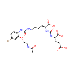 CC(=O)NCCOc1cc(Br)ccc1NC(=O)NCCCC[C@H](NC(=O)N[C@@H](CCC(=O)O)C(=O)O)C(=O)O ZINC000209964585