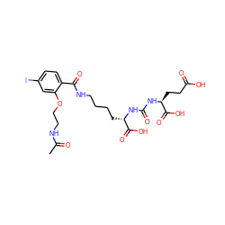 CC(=O)NCCOc1cc(I)ccc1C(=O)NCCCC[C@H](NC(=O)N[C@@H](CCC(=O)O)C(=O)O)C(=O)O ZINC000299835405