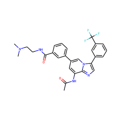 CC(=O)Nc1cc(-c2cccc(C(=O)NCCN(C)C)c2)cn2c(-c3cccc(C(F)(F)F)c3)cnc12 ZINC000061902804