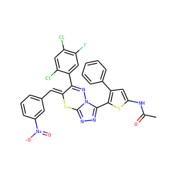 CC(=O)Nc1cc(-c2ccccc2)c(-c2nnc3n2N=C(c2cc(F)c(Cl)cc2Cl)/C(=C/c2cccc([N+](=O)[O-])c2)S3)s1 ZINC000028823794