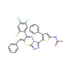 CC(=O)Nc1cc(-c2ccccc2)c(-c2nnc3n2N=C(c2cc(F)c(Cl)cc2Cl)/C(=C/c2ccccc2)S3)s1 ZINC000028823788