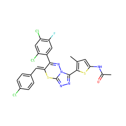 CC(=O)Nc1cc(C)c(-c2nnc3n2N=C(c2cc(F)c(Cl)cc2Cl)/C(=C/c2ccc(Cl)cc2)S3)s1 ZINC000028823780