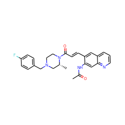 CC(=O)Nc1cc2ncccc2cc1/C=C/C(=O)N1CCN(Cc2ccc(F)cc2)C[C@H]1C ZINC000028530860