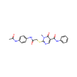 CC(=O)Nc1ccc(NC(=O)CSc2ncc(C(=O)Nc3ccccc3)c(=O)n2C)cc1 ZINC000012236775
