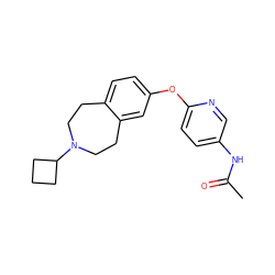 CC(=O)Nc1ccc(Oc2ccc3c(c2)CCN(C2CCC2)CC3)nc1 ZINC000038424920