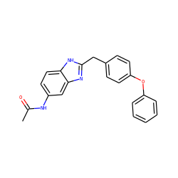 CC(=O)Nc1ccc2[nH]c(Cc3ccc(Oc4ccccc4)cc3)nc2c1 ZINC000013560451