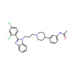 CC(=O)Nc1cccc(C2CCN(CCCn3c(-c4ccc(Cl)cc4Cl)nc4ccccc43)CC2)c1 ZINC000071329185