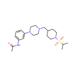 CC(=O)Nc1cccc(N2CCN(CC3CCN(S(=O)(=O)C(C)C)CC3)CC2)c1 ZINC000013703875