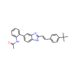 CC(=O)Nc1ccccc1-c1ccc2[nH]c(/C=C/c3ccc(C(C)(C)C)cc3)nc2c1 ZINC000117144967