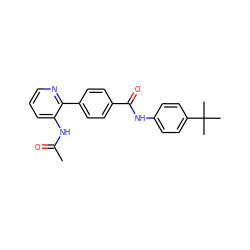 CC(=O)Nc1cccnc1-c1ccc(C(=O)Nc2ccc(C(C)(C)C)cc2)cc1 ZINC000038149551