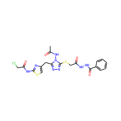 CC(=O)Nn1c(Cc2csc(NC(=O)CCl)n2)nnc1SCC(=O)NNC(=O)c1ccccc1 ZINC000028816975