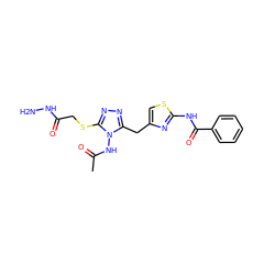 CC(=O)Nn1c(Cc2csc(NC(=O)c3ccccc3)n2)nnc1SCC(=O)NN ZINC000028816945