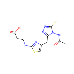 CC(=O)Nn1c(S)nnc1Cc1csc(NCCC(=O)O)n1 ZINC000028816919