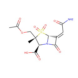 CC(=O)OC[C@@]1(C)[C@H](C(=O)O)N2C(=O)/C(=C/C(N)=O)[C@H]2S1(=O)=O ZINC000026148441