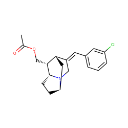 CC(=O)OC[C@@H]1[C@H]2C[C@H]3CC[C@H]1N3C/C2=C\c1cccc(Cl)c1 ZINC000253633762