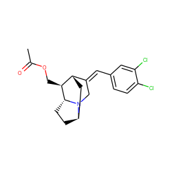 CC(=O)OC[C@H]1[C@H]2C[C@H]3CC[C@H]1N3C/C2=C\c1ccc(Cl)c(Cl)c1 ZINC000136930460